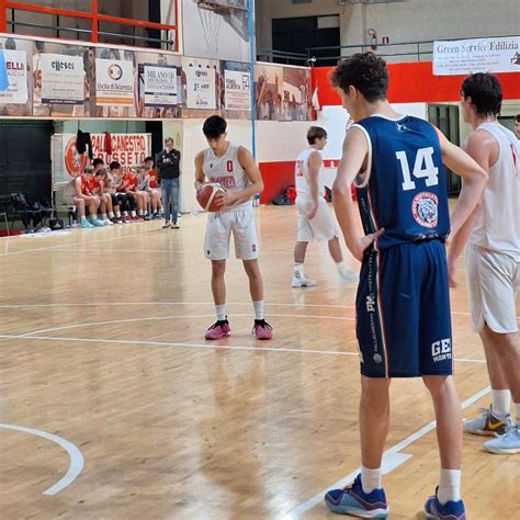 Pallacanestro Grosseto Giovanili Emozioni Dagli Under Gold Tutti I