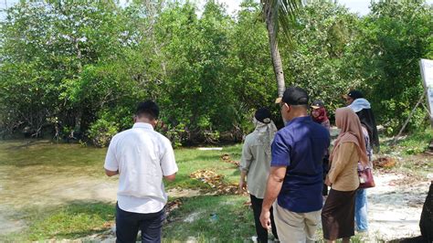 Lestarikan Hutan Mangrove Dan Pantai Bersama Pt Pelindo Persero