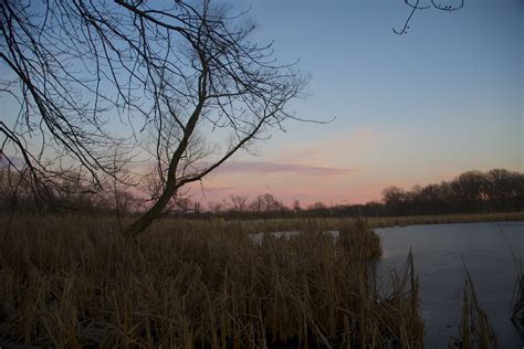 Lincoln Marsh Early January 2012 Daniel X Oneil Flickr