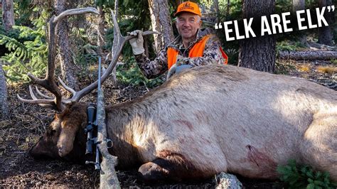 LESSONS LEARNED Picking The Best Dates Colorado Rifle Elk YouTube