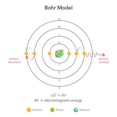 Bohr model physics chemistry atom vector illustration diagram 26586283 ...