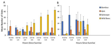Earlier Morning Arrival to Pollen-Rewarding Flowers May Enable Feral