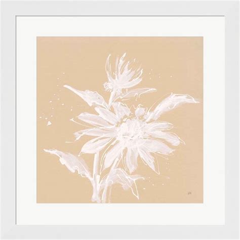 Red Barrel Studio Echinacea Ii By Chris Paschke Framed Wall Art Wayfair