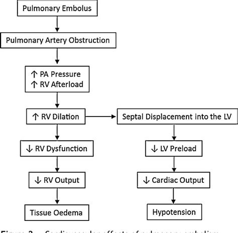 Pulmonary Embolism Concept Map Docx Pulmonary Embolism Concept Map