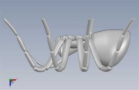 蜘蛛solidworks 2016模型图纸下载 懒石网