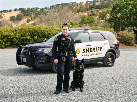 K 9 Unit Contra Costa Sheriff Ca