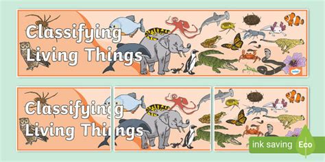 Classifying Living Things Display Banner Teacher Made