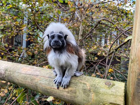 Lakeland Wildlife Oasis - Home | Facebook