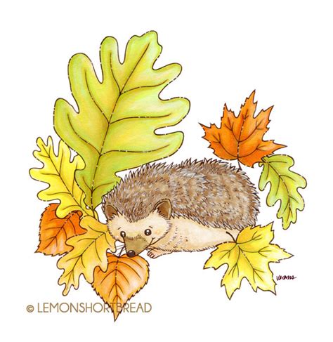 “Hedgehog Leaves”. Hedgehogs are soooo cute!... - Lemon Shortbread Art