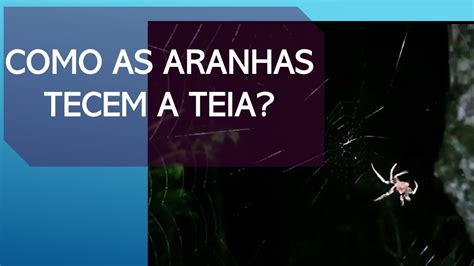 A Aranha E Sua Teia Youtube