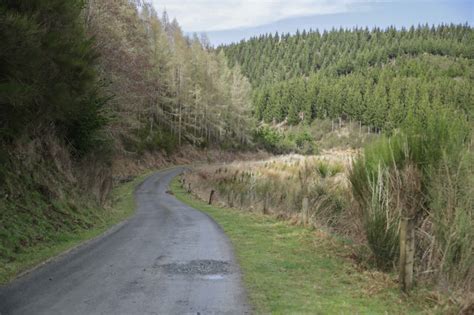 Berwick Forest Film Otago Southland