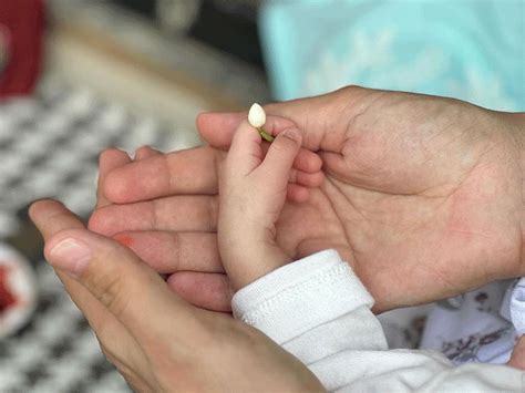 Rubina Dilaik Shared The First Glimpse Of Twin Daughters