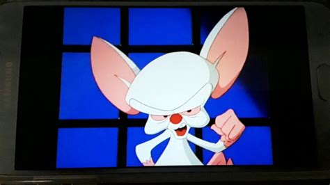 Pinky And The Brain Theme Song Made In 1995 To 1998 YouTube