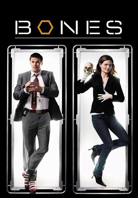 Bones Season 2 - watch full episodes streaming online