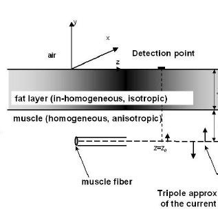 Planar Layered Volume Conductor Model With The Notations Used In The