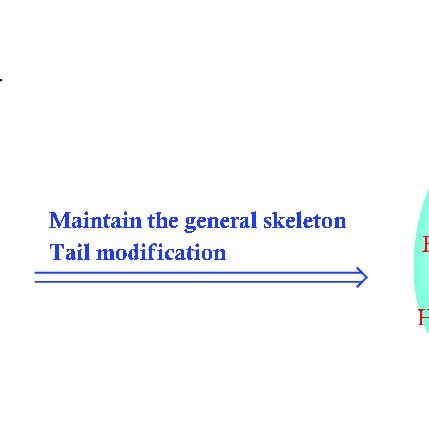 BALB C nude mice were injected subcutaneously with 2 10⁷ OCILy1 Download Scientific Diagram