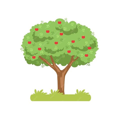 Premium Vector Apple Tree Apple Harvest Vector Illustration Isolated