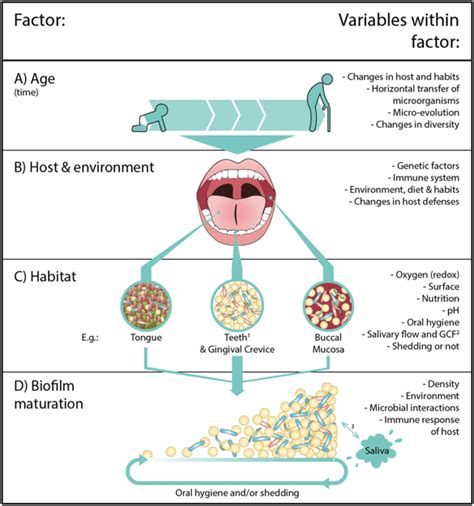 Microbiota Table