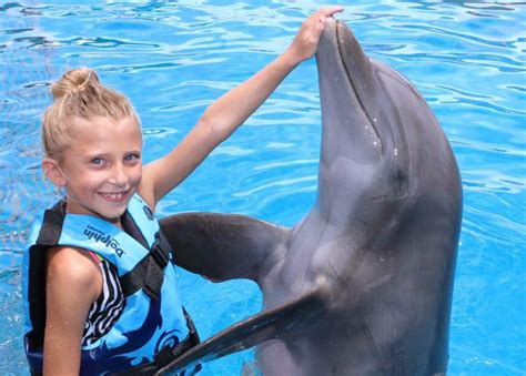 Florida Locations to Swim with Dolphins (800) 667-5524