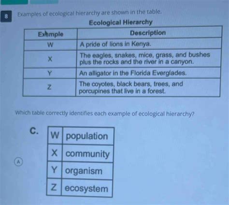 Solved 8 Examples Of Ecological Hierarchy Are Shown In The Table Which Table Correctly