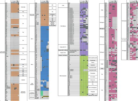 Gene Content Associated With Specific Functional Activities In