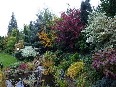 Озеленение обочин, Ландшафтный дизайн, Затененный сад