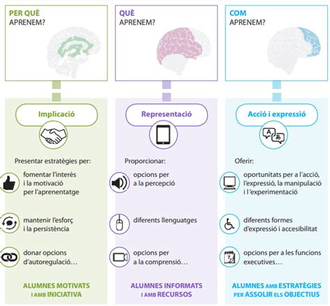 El Disseny Universal Per A Laprenentatge Dua Carolina Tapias Ros