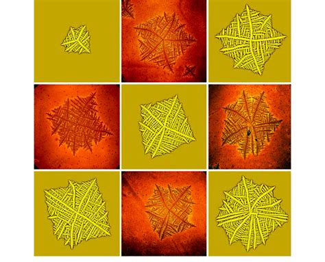 Disordered Dendrites Formed In Clay Filled Polymer Layers Darker