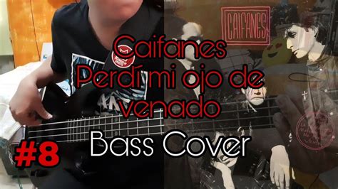 Perd Mi Ojo De Venado Bass Cover Youtube