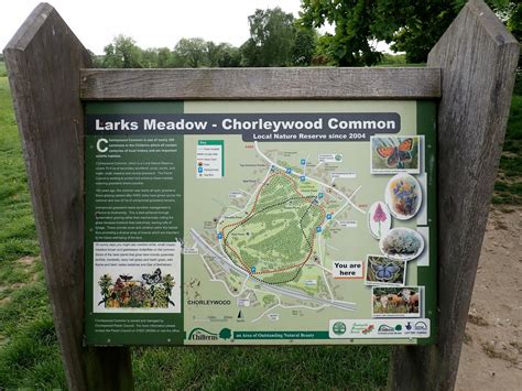 Chorleywood Common | Chorleywood Parish Council