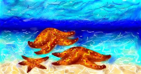 Drawing of Starfish by Lise - Drawize Gallery!