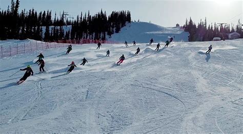 Whitehorse Daily Star: Alpine Yukon raises $3,600 for food bank