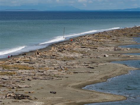 Dungeness Spit – Sequim Daily Photo