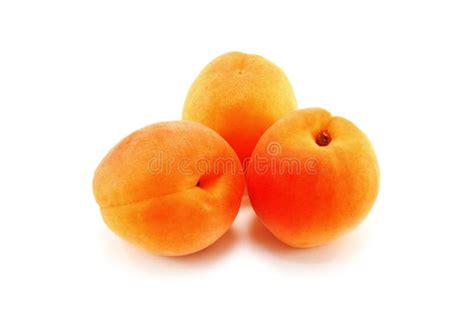 Abricot image stock. Image du isolement, fruit, lifestyle - 6078317