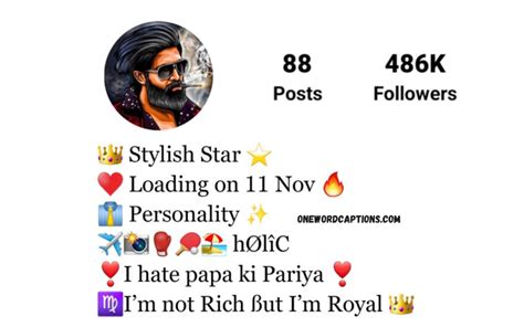 200+ Best Instagram Bio For Boys For Instagram - One Word Captions