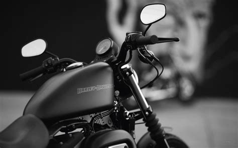 Wallpapers 2017 Harley-Davidson Iron 883 - Wallpaper Cave