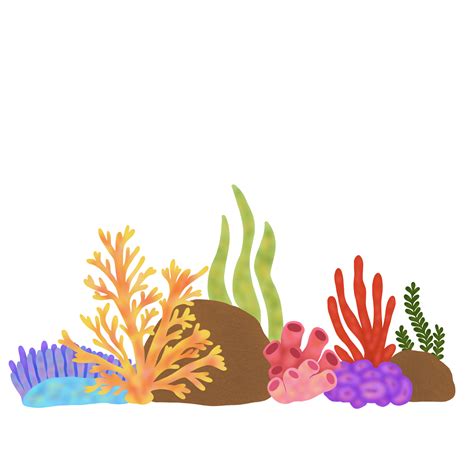 Coral Reef Composition Png Transparent Image On Pnghq