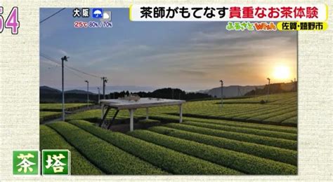 茶処・嬉野で新しい旅のカタチ「ティーツーリズム」を体験！～ふるさとwish佐賀県～｜福岡・九州ジモタイムズ Wish｜kbc九州朝日放送