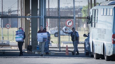 El Descuido Hot De Zaira Nara Durante Un Programa En Vivo Infobae