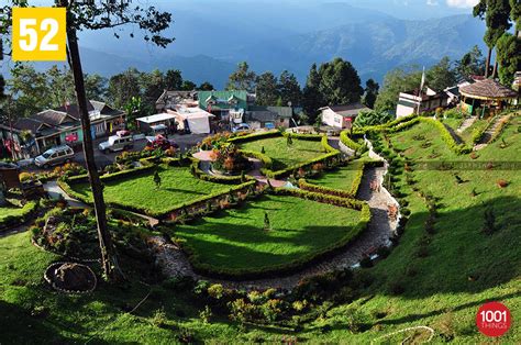 Lamahatta, Darjeeling - Most Romantic Destination Near Darjeeling