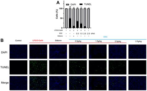 Swertia Cincta Burkill Alleviates Lps D Galn Induced Acute Liver