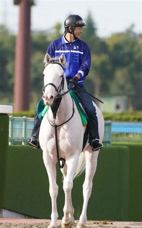 【春菜賞】白毛馬ハイアムズビーチ 飛躍誓う、1週前は併せ馬で上々の動き― スポニチ Sponichi Annex ギャンブル