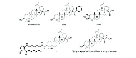 Chemical Structure Of Betulinic Acid Ba And Its Derivatives With