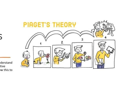 Piaget's Theory Of Learning | ppgbbe.intranet.biologia.ufrj.br