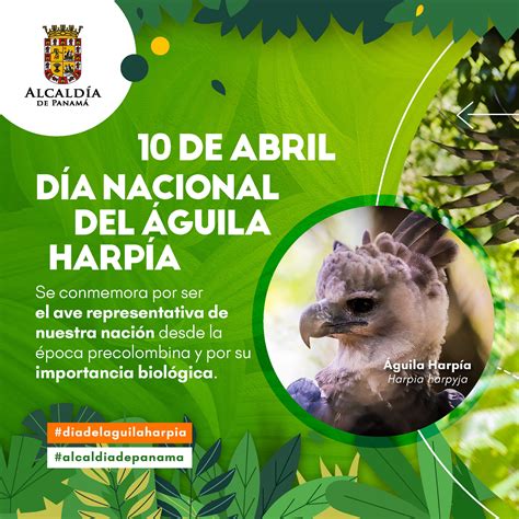El Aguila Que Queria Ser Aguila 5