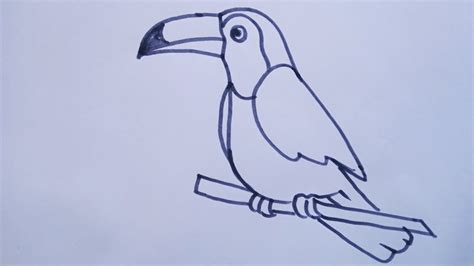 Toucan Drawing For Kids