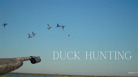 Duck hunting Texas public land mad island WMA - YouTube
