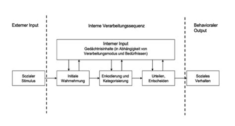 Soziale Kognition Und Attribution Karteikarten Quizlet