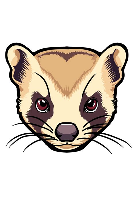 Free Clip Ferret Faces Download Free Clip Ferret Faces Png Images