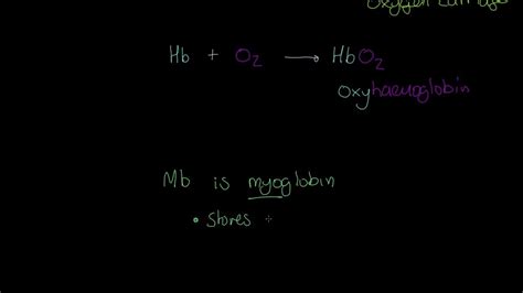 Aqa A Level Pe Transportation Of Oxygen Youtube